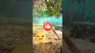 deerfield beach underwater camera #ytshorts #camera #water