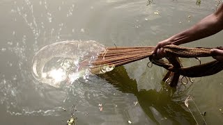 Unbelievable Net Fishing | Catch Lot's of Fish in Pond with Cast Net | Traditional Fishing