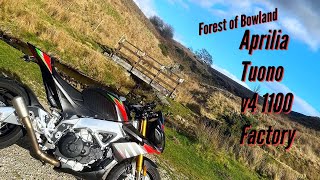 Onboard Aprilia Tuono V4 1100 Factory - Exploring The Countryside - Forest Of Bowland