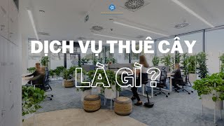 Dịch vụ cho thuê cây xanh tại Hà Nội  - Nhà Mới Xanh