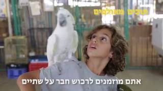 הפקת סרט הדרכה למרכז המבקרים של חוות התוכים- כפר הס