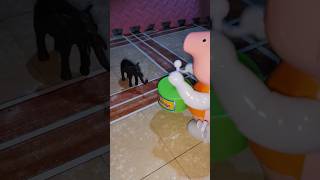 elephante and drummer pig meet up #shorts #youtubeshorts #viral #trending #amazing #fyp