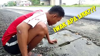 SPOT UNIK!!!NGGA BAKAL PERCAYA??kalo BELUM di coba SENDIRI