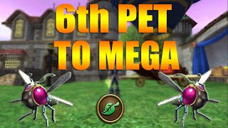 Wizard101 : Sixth pet to mega