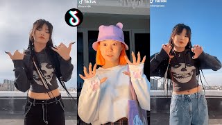 "Pusi Pusi Pusi Da Baba Jusi Jusi Jusi Dabababa" Top TikTok Challenge Compilation