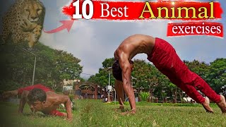 10 Best Animal Movement Exercises You can do anywhere। Shivaz fitzone🔥