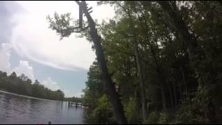 Tree Swing in Black Creek