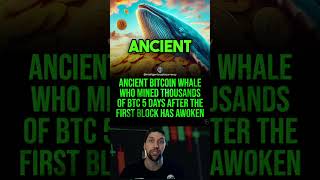 Watch out for those ancient Bitcoin whale wallets 👀#bitcoin #btc #crypto #cryptonews