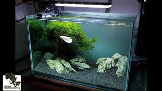 Bonsai Aquascape without CO2 |Membuat Aquascape|水草造景