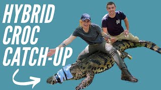 Catching HUGE HYBRID Crocodiles!!!