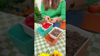 This Storage Box Is So Convenient For Eating Melon Seeds And Snacks #storage #kitchen #shorts