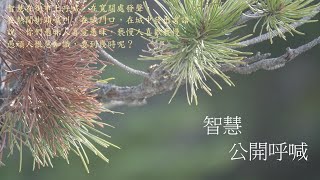 靈修:智慧-公開呼喊 20240820 (潮語讀經版)