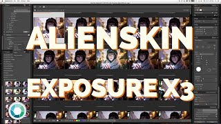 Alienskin Exposure X3 Overview