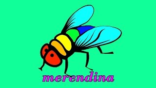 Merendina