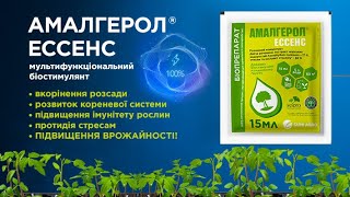 Амалгерол Ессенс / фрагмент трансляції "Екологічні рішення для підвищення врожайності" / 27.04.2023