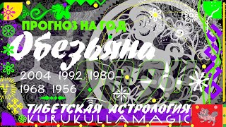 Прогноз на год деревянного дракона для обезьян по  тибетской астрологии 1980, 1992, 1968, 1956, 2004