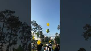 In memory of meme💚💛subscribe for more #viralshorts #balloons