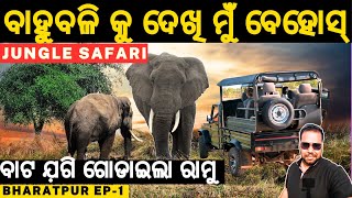 Angry Elephant Encounter At Bharatpur Jungle Safari Odisha | ବିଶାଳ ହାତୀ ବାହୁବଳି  @JustGoBibhu