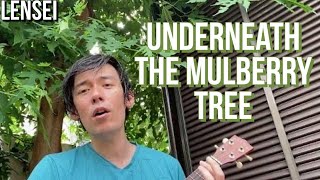 Underneath the Mulberry Tree