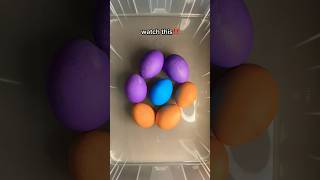 Most Satisfying Egg Surprise #shorts #asmr #mostsatisfying #eggsurprise