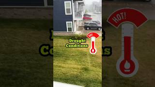 Help for the Lawn in Drought Conditions #short