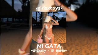 MI GATA // Standly - El Barto // speed up 😼🧡