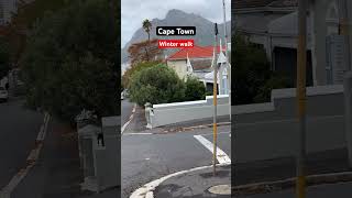 Full length video on my channel. #southafrica #capetown #4kwalk #shorts