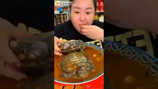 MUKBANG stew turtle