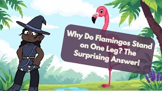 Why Do Flamingos Stand on One Leg? The Surprising Answer!