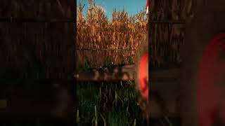 Buckland Farm S1 EP22 Short 15 #giantssoftware  #farmingsimulator22  #fs22  #gamingmadhouse