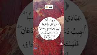 اكتب شيء تؤجر عليه #ارح_سمعك_بالقران #القرآن_الكريم #راحة_نفسية #سورة_البقرة #ادعمونا_بلايك_واشتراك