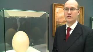 Giant egg goes up for auction