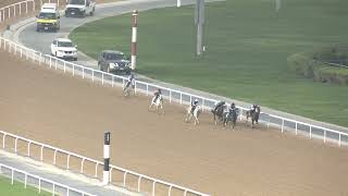 MEYDAN TRIALS 131124 TRIAL 3