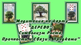 "Медитация на карту 'Дерево': Символизм Роста, Прочности и Связи с Предками"