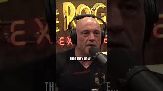 Library of Alexandria Book Heist Theory   Joe Rogan #jre #viral #podcast #trending