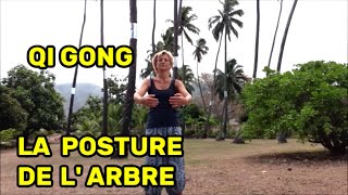 QI GONG La Posture de l'Arbre (une harmonisation énergétique globale)