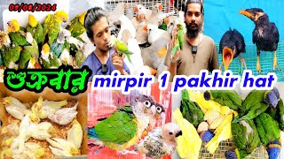 mirpur 1 pakhir hat | মিরপুর ১ পাখি ও কবুতরের হাট | শুক্রবার পাখির হাট | পাখির দাম কতো | পাখি পাগলা