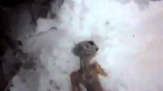 UFO Alien Body Discovered In Buryatia Russia April 2011