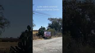 Lote ideal para desarrollar nave industrial o desarrollo habitacional, en Av de Palma Gorda