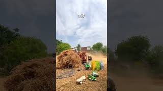 गांव की मिट्टी #new #village #viral #villagelife #vlog #unlimited #star #farming #status