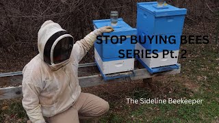 Beekeeping: Stop Buying Bees | Part 2