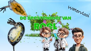 De Beestenboel - Watervlooi