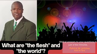 What are "the flesh" and "the world"?