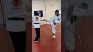 Roundhouse Kick defence