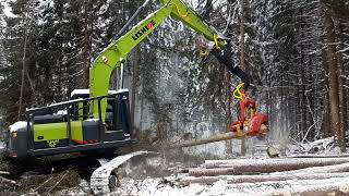 Зимой в Тверской области