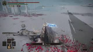 ELDEN RING Consecrated Snowfield legit and Secret Areas