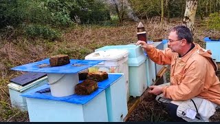 La technique secrète et infaillible pour remèrer une colonie bourdonneuse - Apiculture S03E07