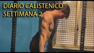 Diario calistenico settimana 2: update