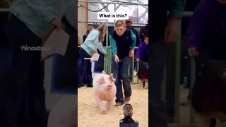 Would you play this ANIMAL game? 🐖 #viral #funny #shorts