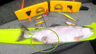 What's That Nasty Thing on This Rainbow Trout?